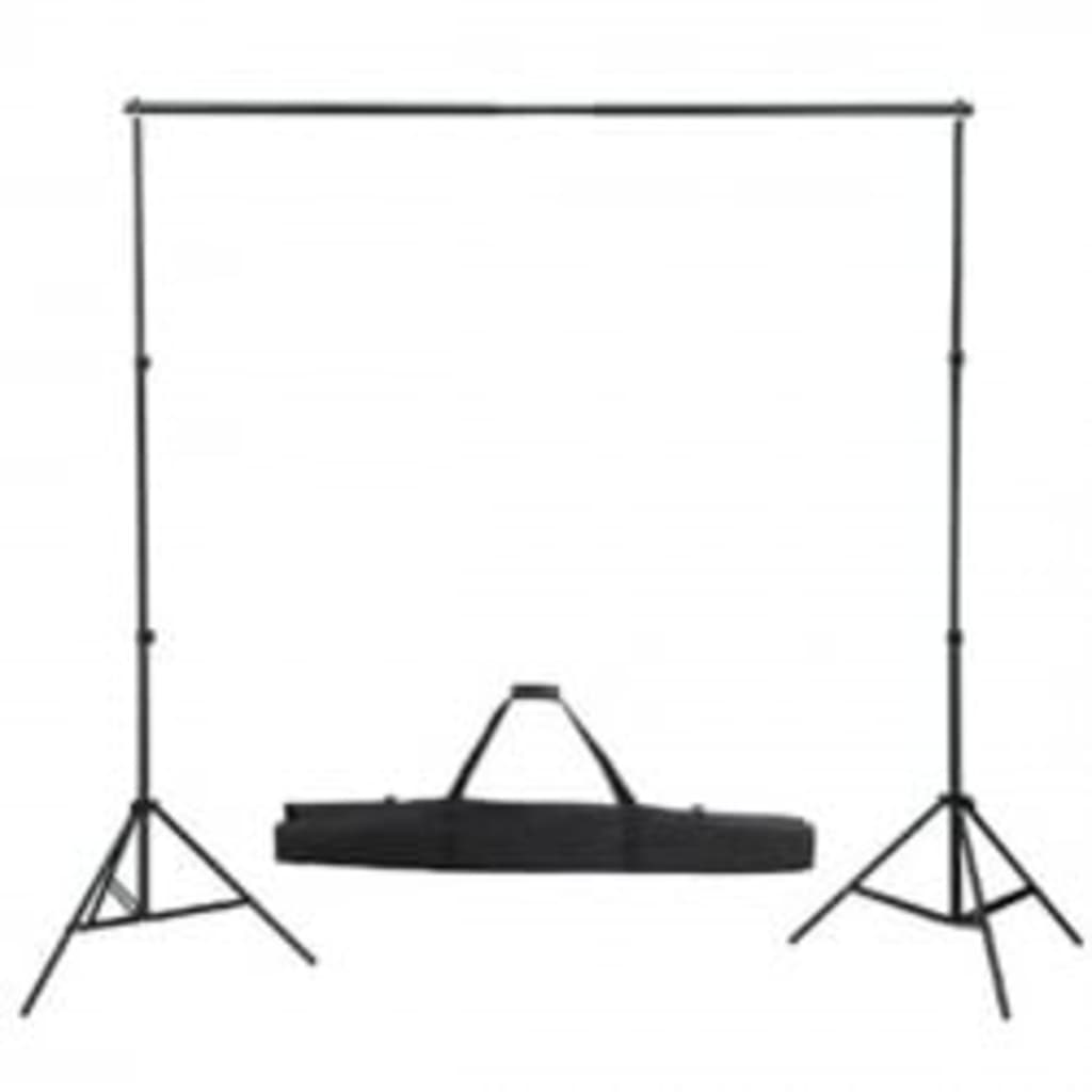 vidaXL Backdrop Support System 300 x 300 cm Green