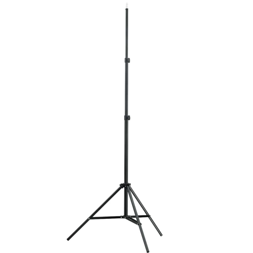 vidaXL Backdrop Support System 500x300 cm Black