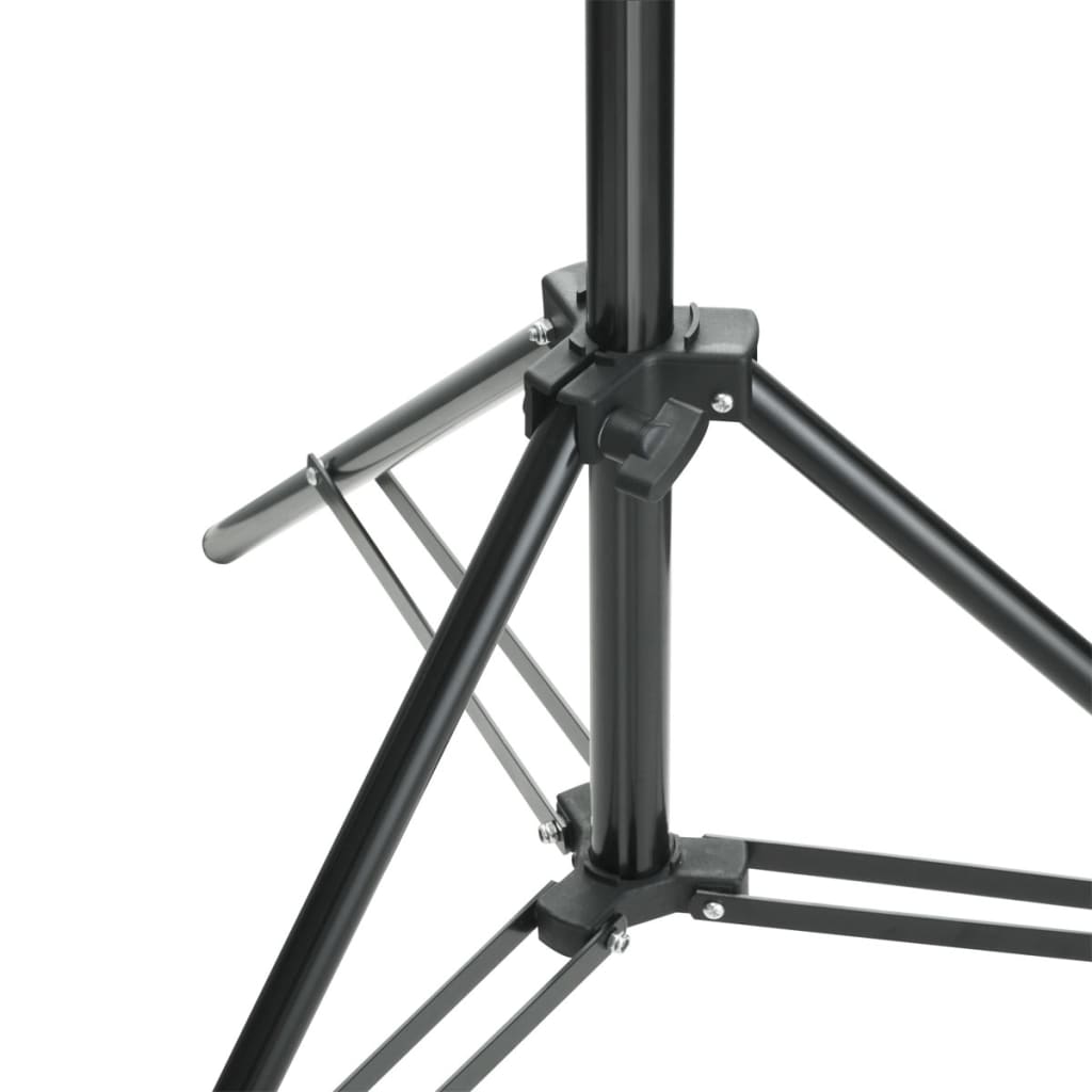 vidaXL Backdrop Support System 500x300 cm Black