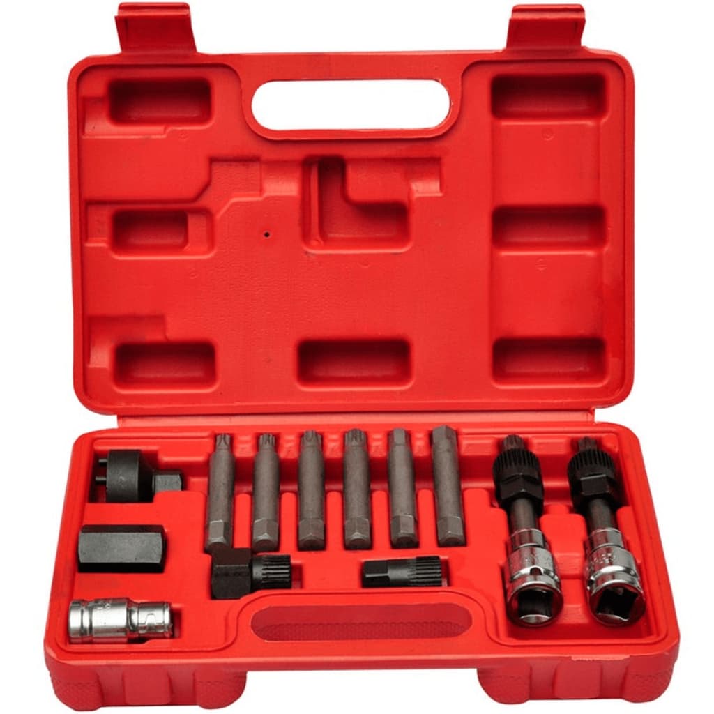 vidaXL Alternator Car Tool Kit