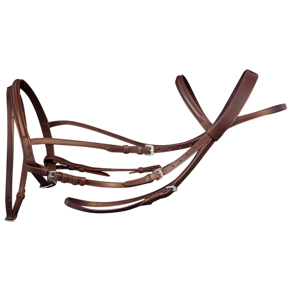 vidaXL Leather Flash Bridle with Reins and Bit Brown Full