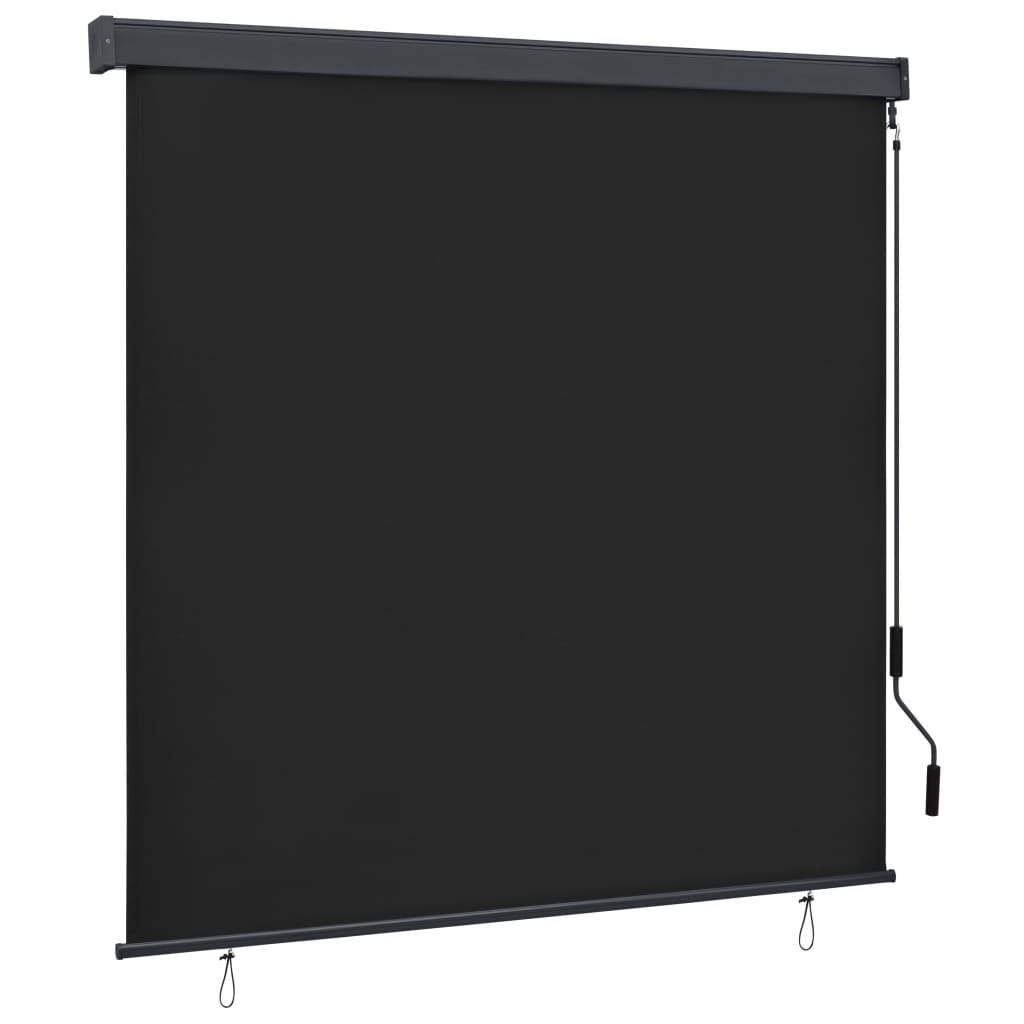 vidaXL Outdoor Roller Blind 160x250 cm Anthracite