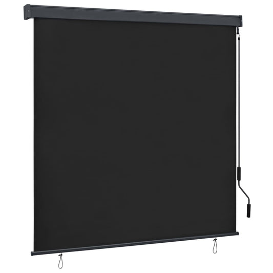 vidaXL Outdoor Roller Blind 160x250 cm Anthracite
