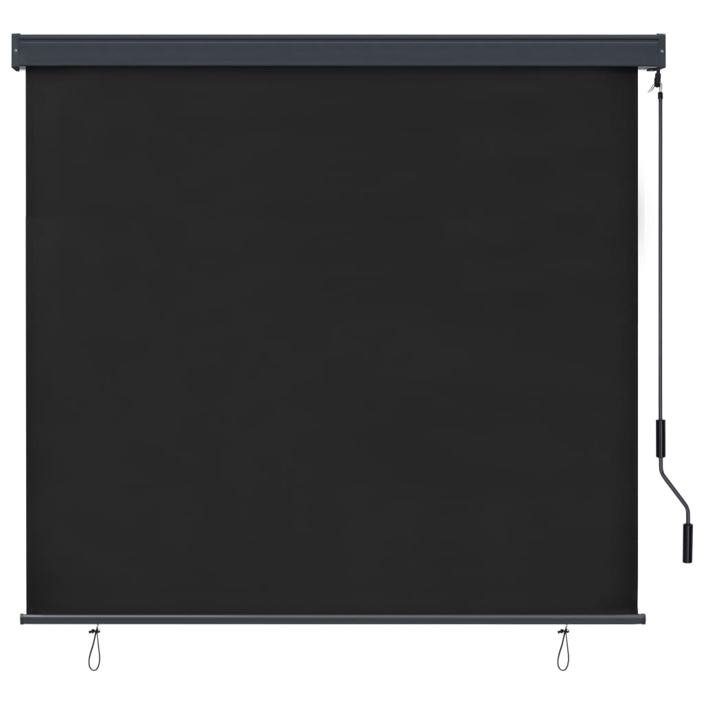 vidaXL Outdoor Roller Blind 160x250 cm Anthracite