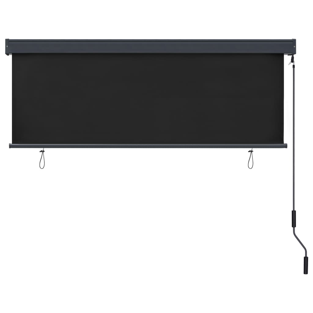 vidaXL Outdoor Roller Blind 160x250 cm Anthracite