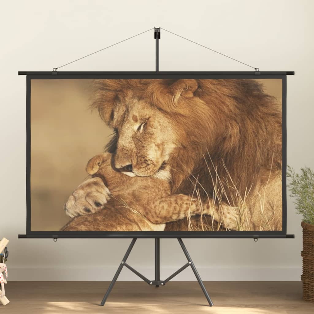 vidaXL Projection Screen 72" 16:9