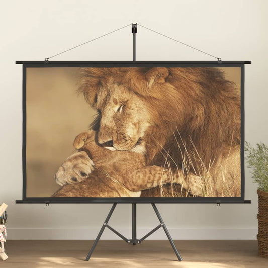 vidaXL Projection Screen 72" 16:9