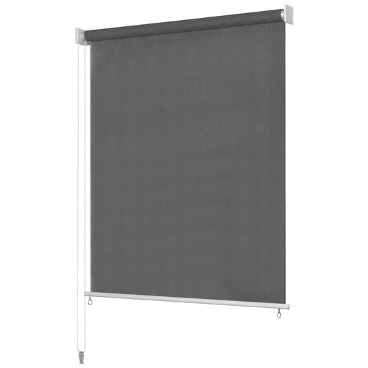 vidaXL Outdoor Roller Blind 160x230 cm Anthracite