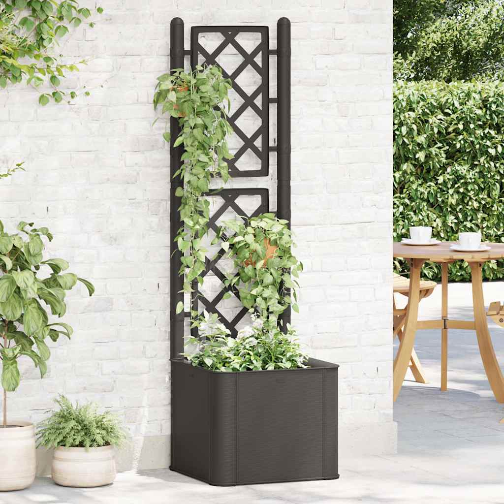 vidaXL Garden Raised Bed with Trellis and Self Watering System Anthracite