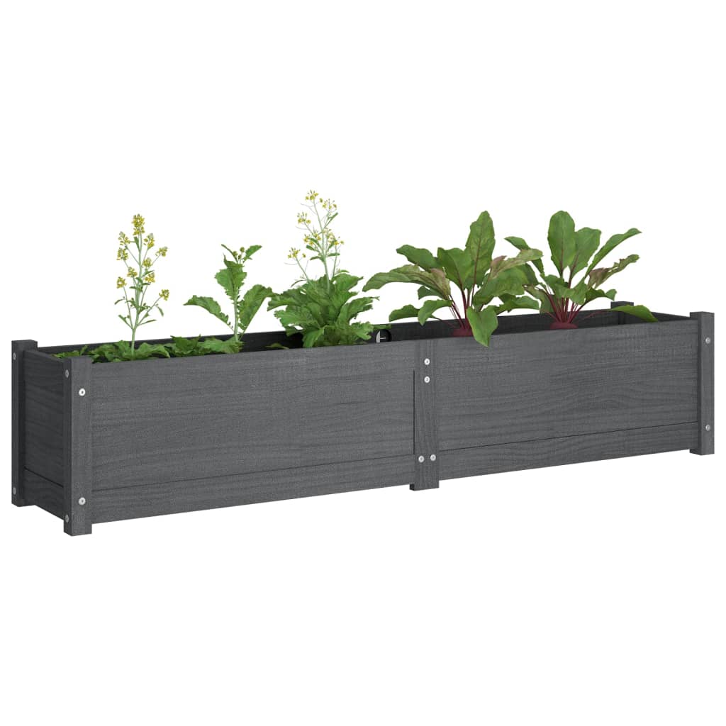 vidaXL Garden Raised Bed Grey 150x31x31 cm Solid Pinewood