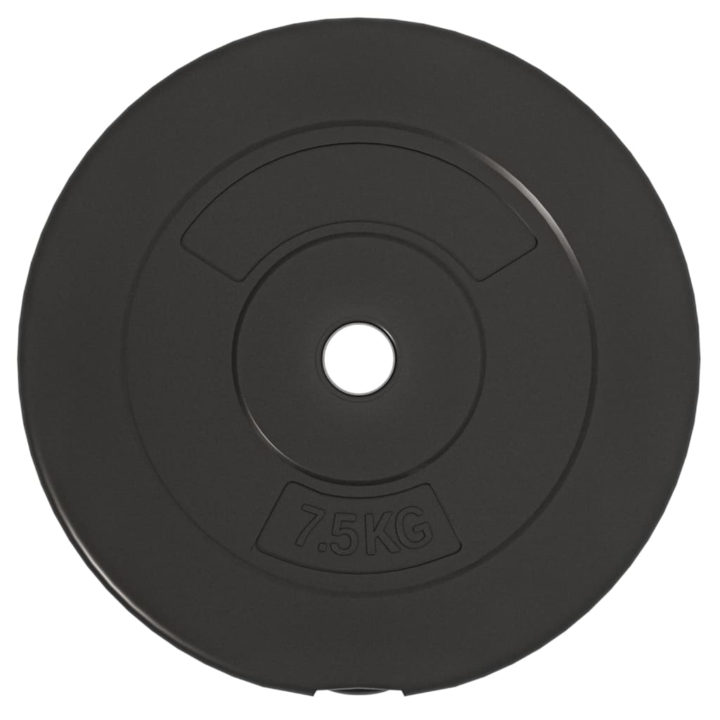 vidaXL Weight Plates 6 pcs 30 kg Cement