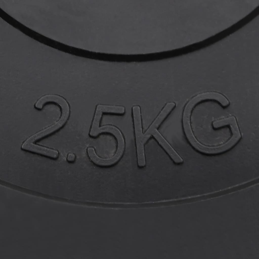 vidaXL Weight Plates 6 pcs 30 kg Cement